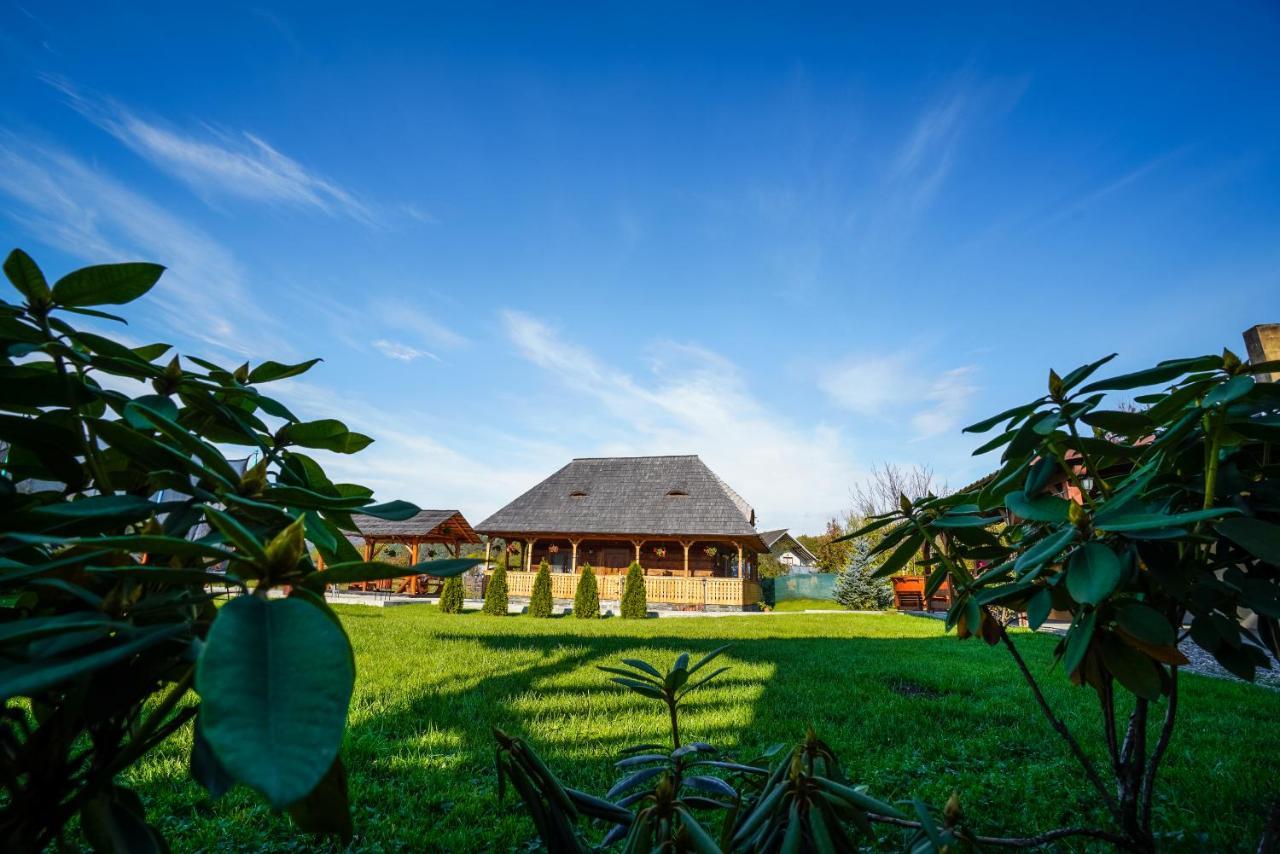 Casa Eli Hotel Vişeu de Sus Exterior foto